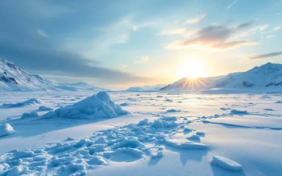 Arctic mood preview