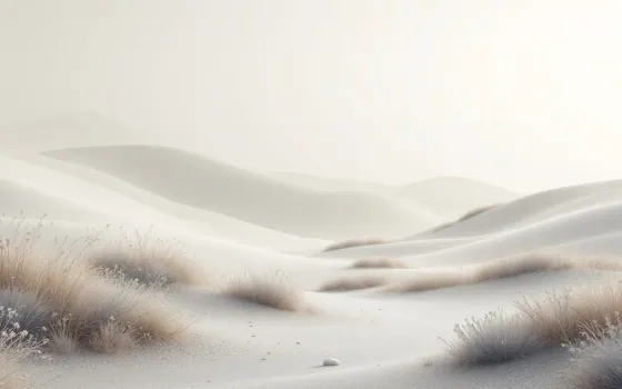 Minimalist mood preview