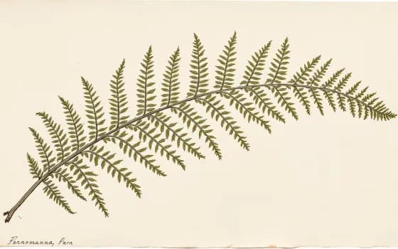 Botanical visual style preview