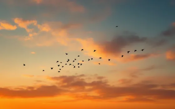 Birds subject preview